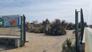 2023-GC--Mapalomas dunas-S123-177.jpg